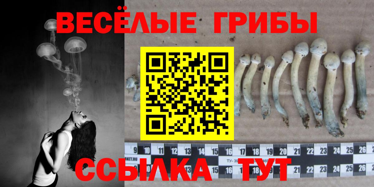 Псилоцибиновые грибы ЛСД  Псилоцибиновые грибы Cubensis  Вход с VPN  Протвино 