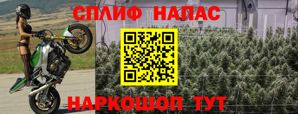 Протвино  Марихуана White Widow  Вход с VPN  Бошки марихуана OG Kush 